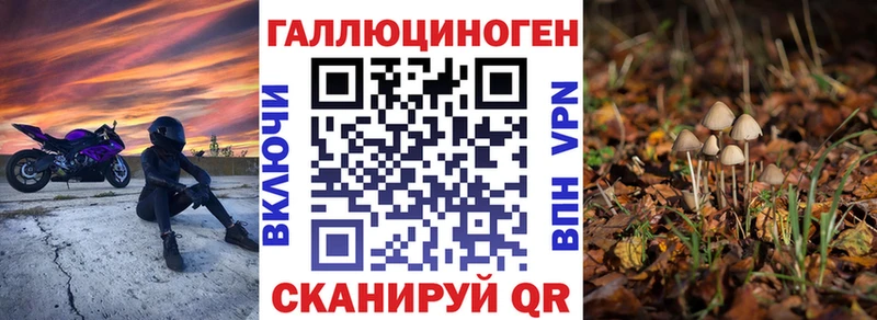 Псилоцибиновые грибы GOLDEN TEACHER  закладки  Полевской 