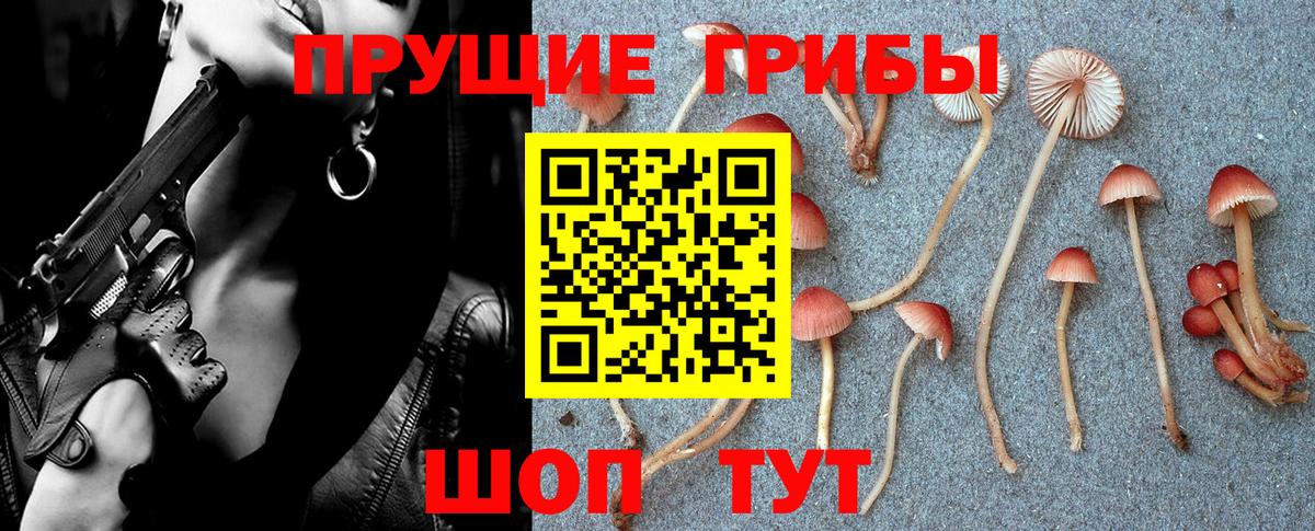 цены   Вход с VPN  Полевской  Псилоцибиновые грибы мухоморы 